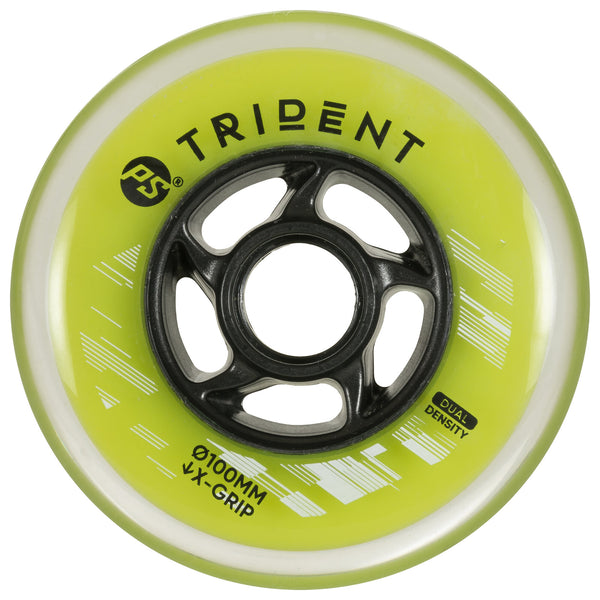 Trident 100 DD, pc (1)