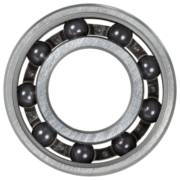 Wicked - NSK Hybrid Ceramic 6002 bearing - 1