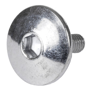 Fixation Screw short for HABS brake - 8mm Hex